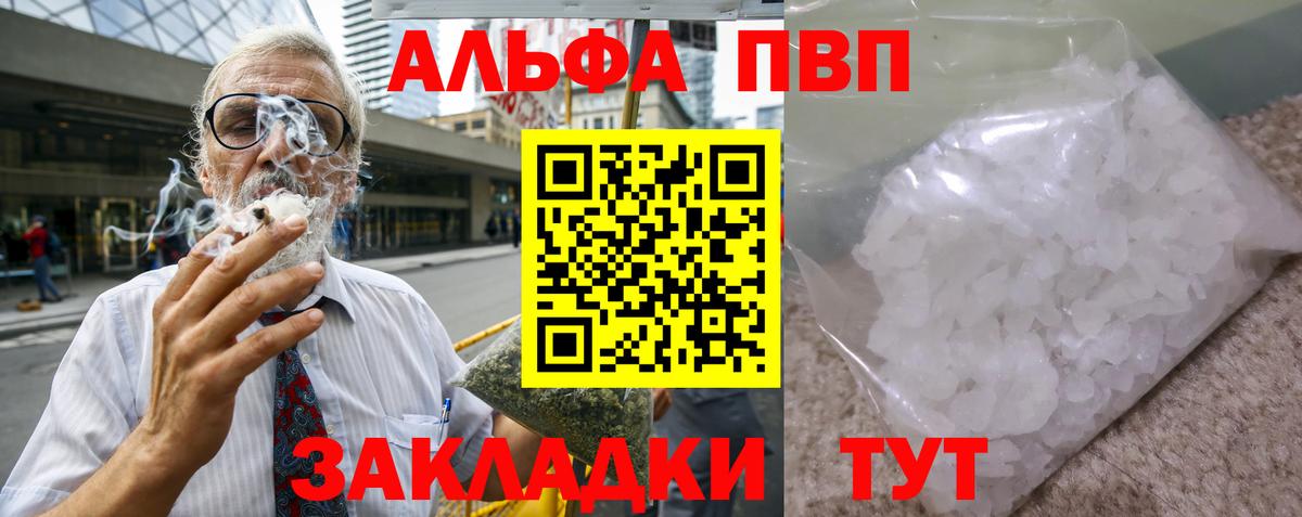 APVP СК Бердск