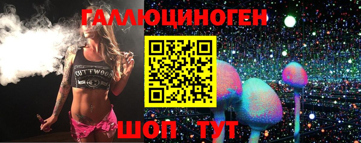 Галлюциногенные грибы GOLDEN TEACHER  Вход с VPN  Бердск 