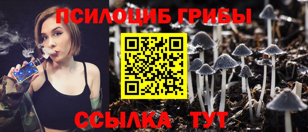 Псилоцибиновые грибы мухоморы Бердск
